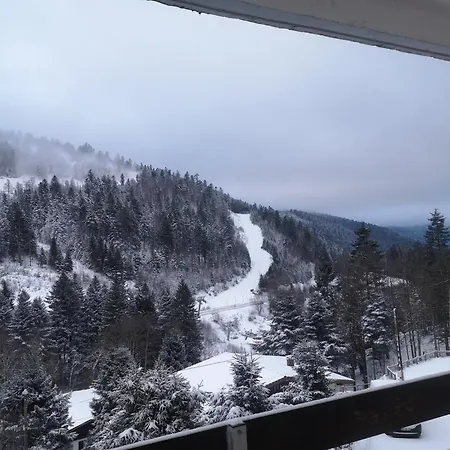 Ourson Appartement *