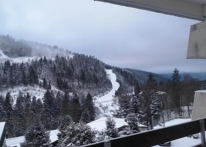 Ourson Appartement *